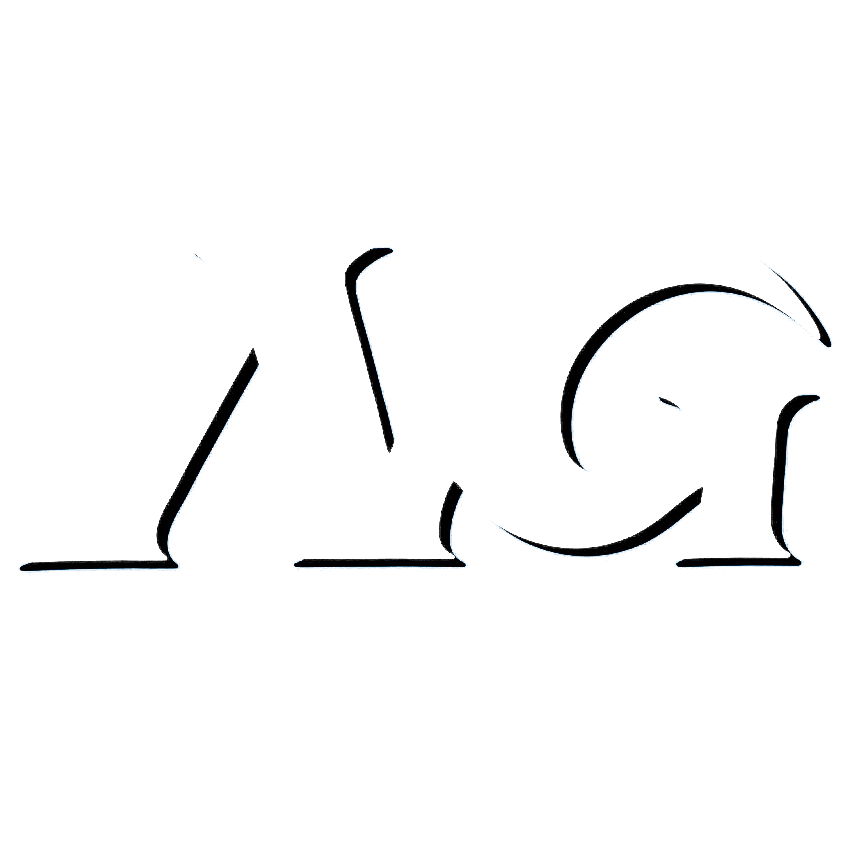 NeezGames Logo